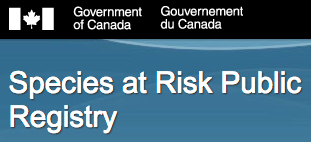 species at risk.jpg